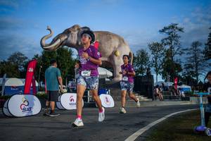 BIB: 
                            <button type="button" onclick="openModal(26541881)" class="btn btn-primary btn-sm float-right btn-popup" data-toggle="modal" data-target=".modal-high-quality">
                        <i class="fas fa-shopping-cart"></i> Add to Cart
                    </button>
                                            <button type="button" onclick="isThisMe(26541881, true)" class="btn btn-success btn-sm float-right btn-popup btn-isme hidden" data-toggle="tooltip" data-placement="bottom" title="นี่คือรูปของคุณใช่ไหม คลิกที่นี่เพื่อเอาเข้าอัลบั้ม">
                        <i class="fas fa-plus"></i> Add to album
                    </button>
                    <button type="button" onclick="isThisMe(26541881, false)" class="btn btn-warning btn-sm float-right btn-popup btn-isnotme hidden">
                        <i class="fas fa-ban"></i> Remove from album
                    </button>